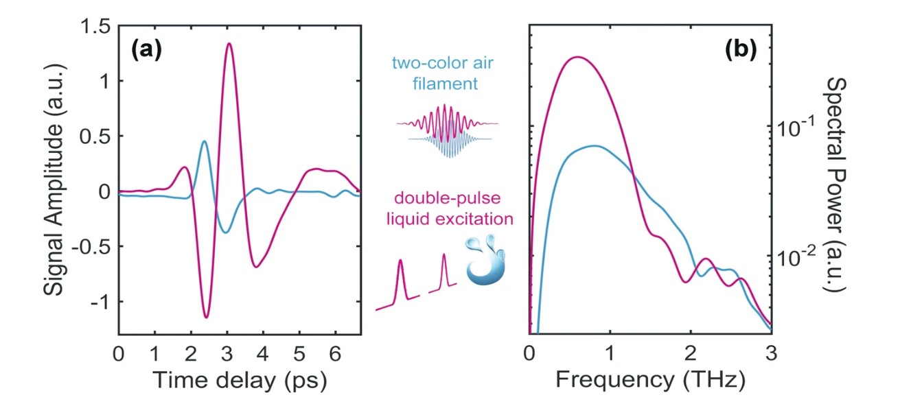 Terahertz waves, double-pulse α-pinene, Starostenko Evgenij